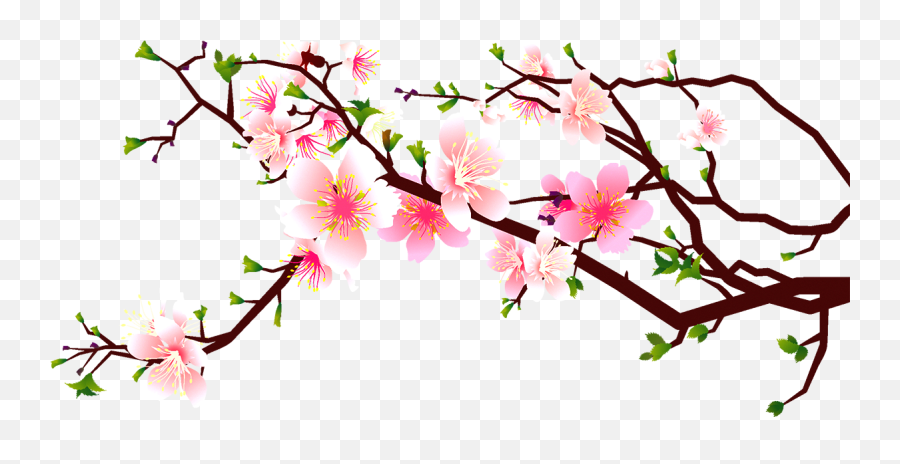 Cherry Blossom Peach Clip Art Decoration - Cherry Blossoms Clip Art Cherry Blossom Png,Sakura Flower Png