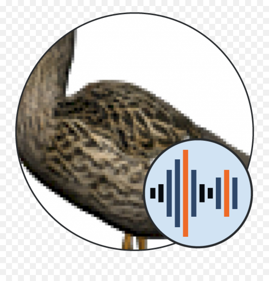 Duck Sounds U2014 101 Soundboards - Sound Png,Teamspeak Icon Goose