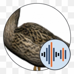 Duck Sounds U2014 101 Soundboards - png
