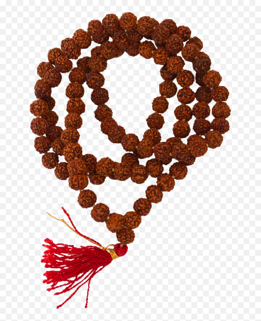 Rudraksha Knotted Mala - Rudraksha Mala Hand Png,Mala Png