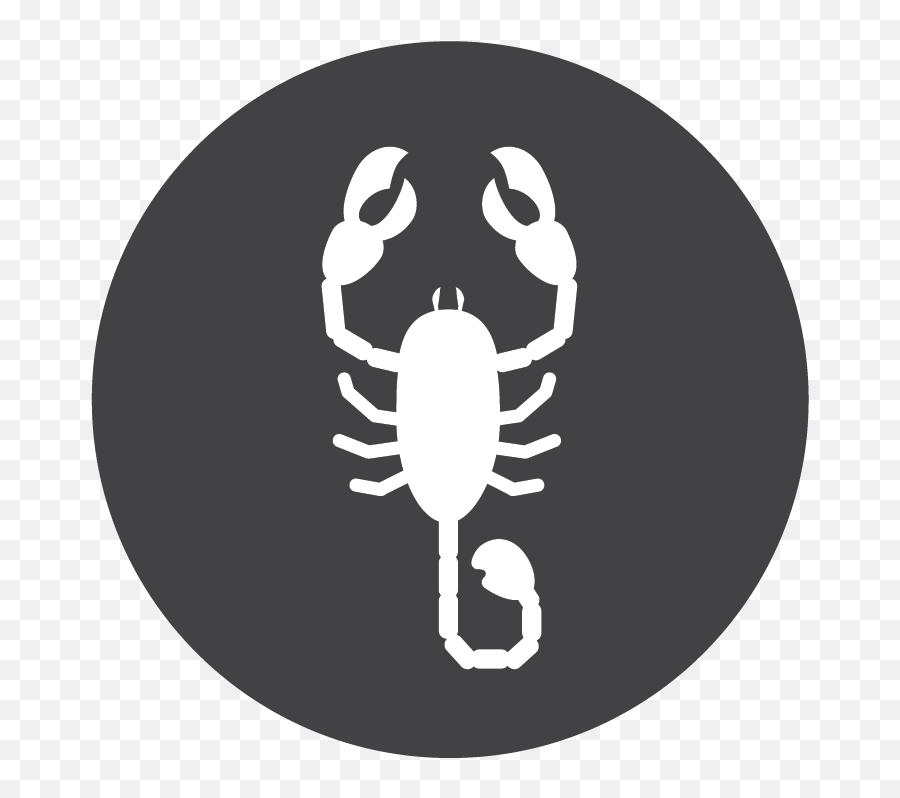 Pest Defense U2013 Taexx - Scorpion Png,There Is A Bug Icon In Grey On My Youtube Upload Page
