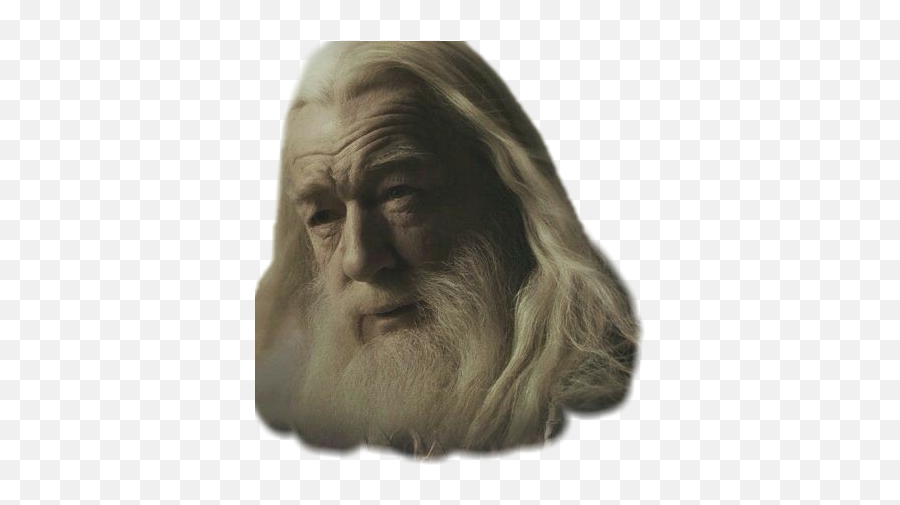 The Newest Dumbledore Stickers - Human Png,Dumbledore Png