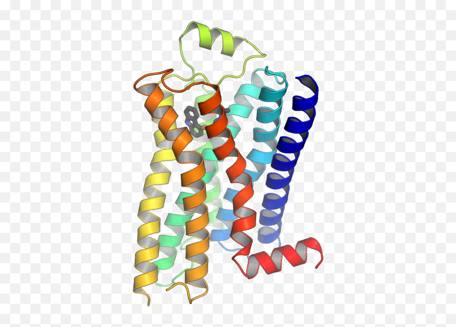 Tethered Jailbreak Vs Bal Olmayan - Fark Ve G Protein Coupled Receptor 3d Png,Quickpwn Icon