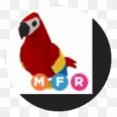 Mega Parrot - Roblox Parrots png