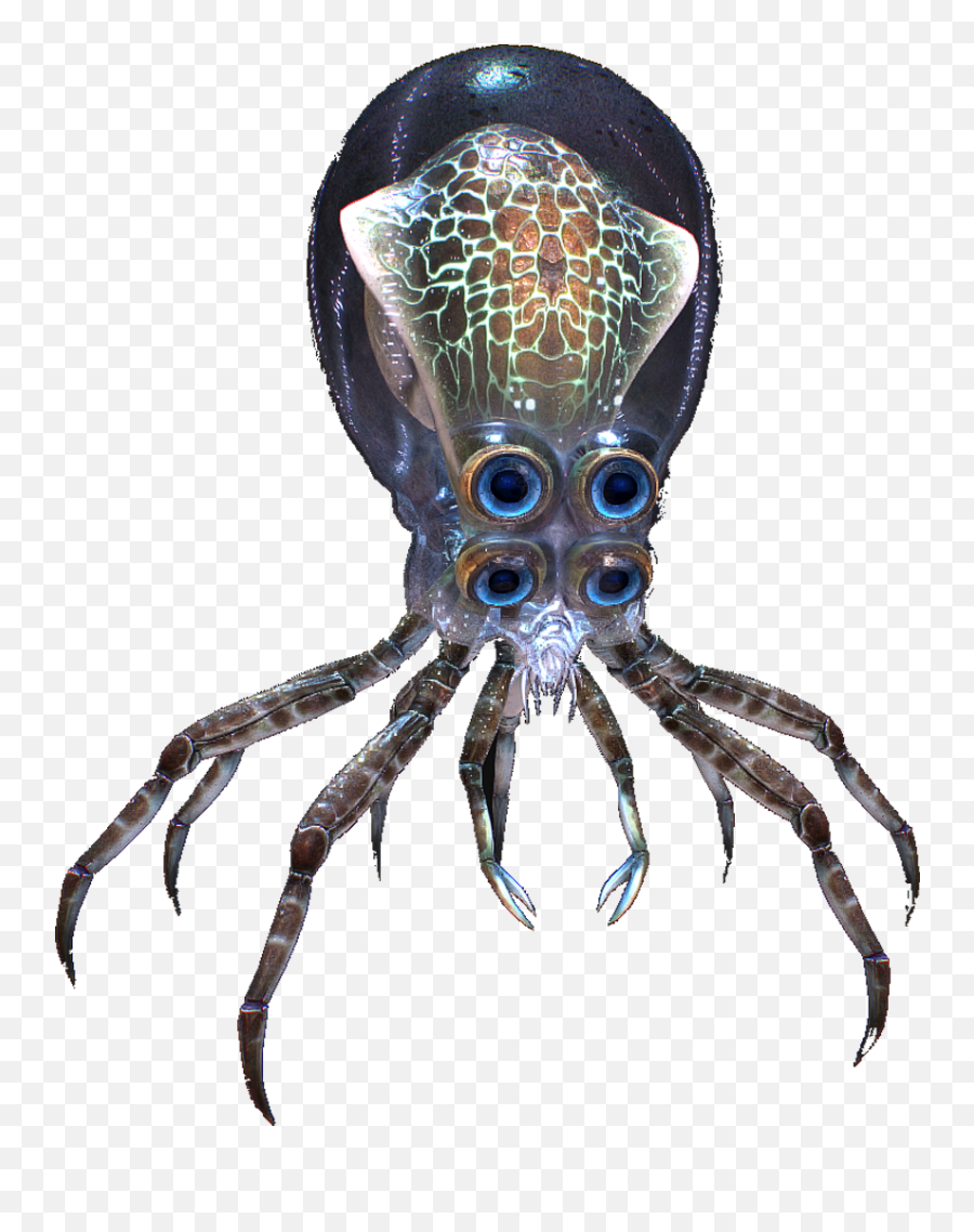 Download Subnautica Crab Squid - Full Size Png Image Pngkit Subnautica Leviathan,Subnautica Png Download Subnautica Crab Squid - Full Size Png Image Pngkit Subnautica Leviathan,Subnautica Png