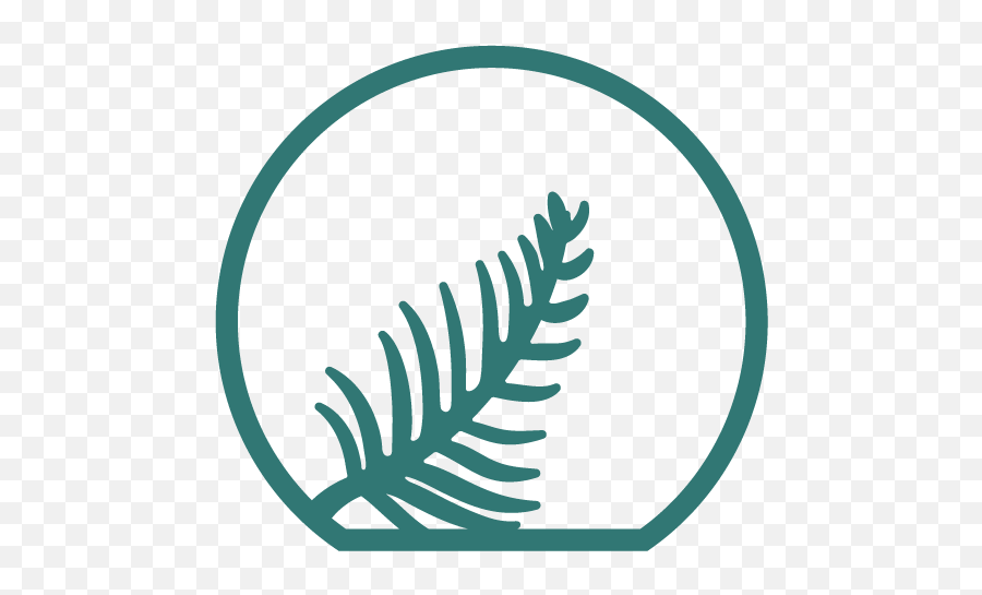 Products U2013 Tagged Rhapis Palm Oasis Plant Shop - Language Png,Palm Frond Icon