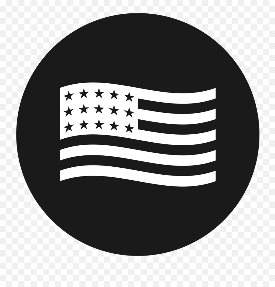 Brigade Beard Kit Chattanooga Co - Usa Flag Vectors Icon Png,Black And White American Flag Icon