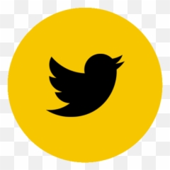 The Dearth Of Native Twitter Clients For Powerpc Macs - Social Media Facebook Instagram Logo Png