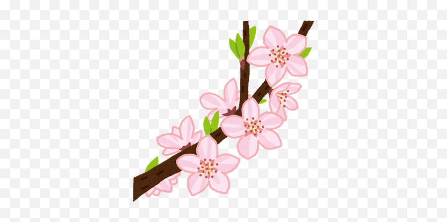 Hinamatsuri - Hinamatsuri Flower Clipart Png,Sakura Flower Icon