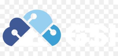 Netsuite Now Has Lease Accounting Fixed Asset Module - Language png