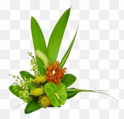 Hawaiian Flowers Bouquet - Flower Bouquet Png,Hawaiian Flowers Png