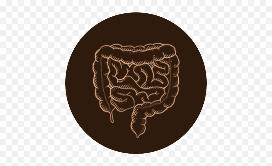 Amyloidosis - Specialistu0027s Guide Png,Gastroenterology Icon