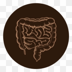 Amyloidosis - Specialistu0027s Guide png