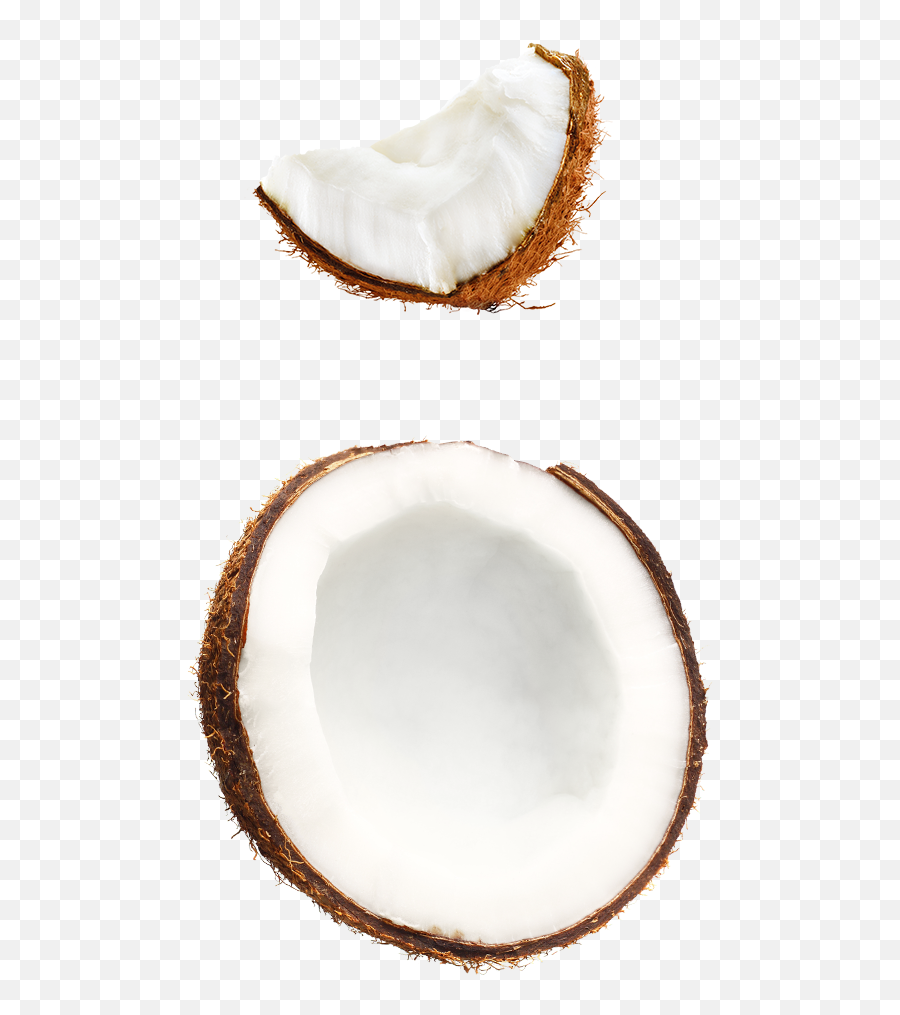 Dang Foods - Dang Bar Keto Snack Coconut Chips Stickyrice Coconut Png,Coconut Png
