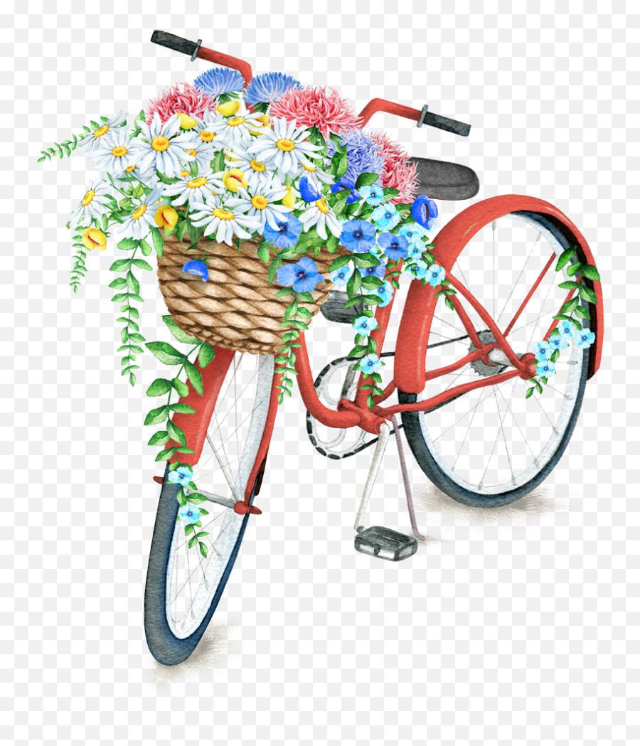 Conference Bicycle Christ Latter - Flower In Bicycle Basket Png,Saints Png