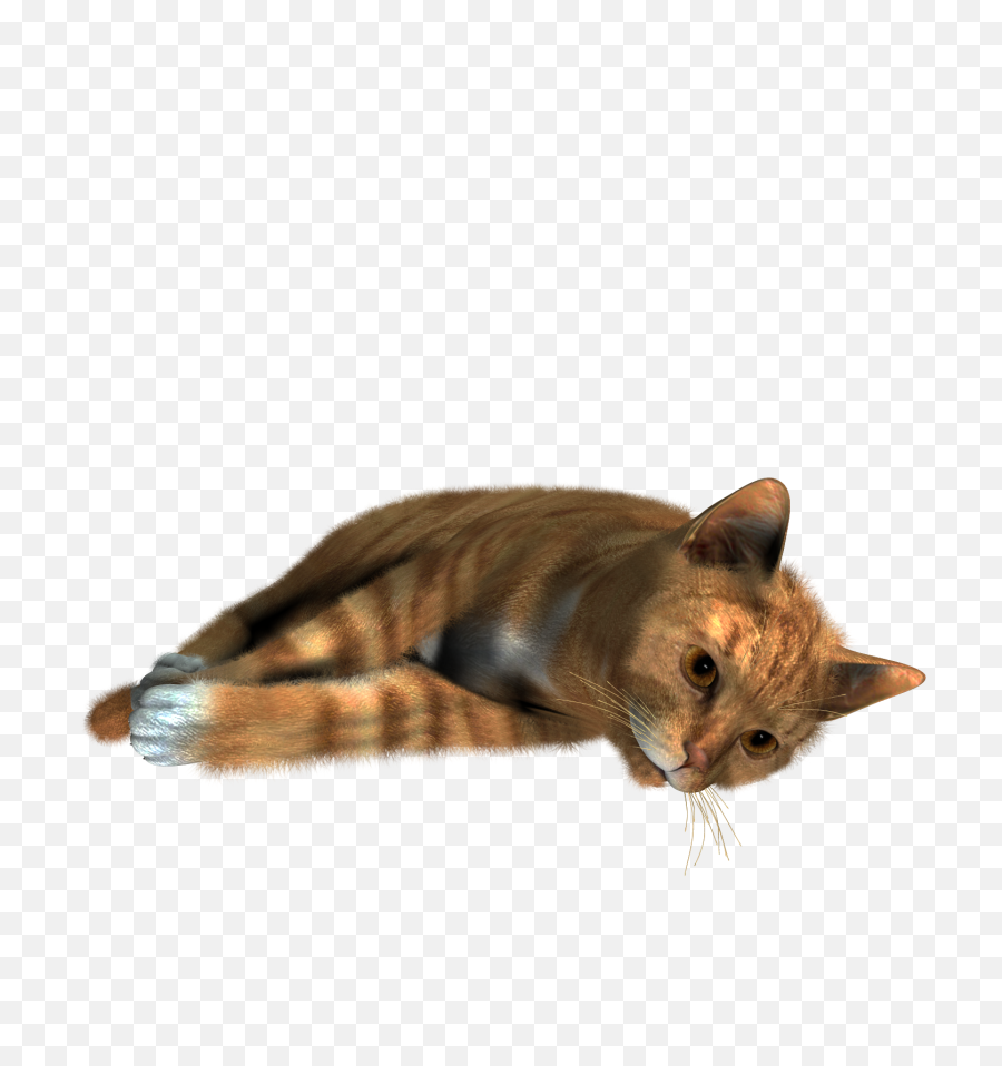 Cute Cat Sleeping Png Images Download - Png Sleep Transparent Cat,Cute Cat Png