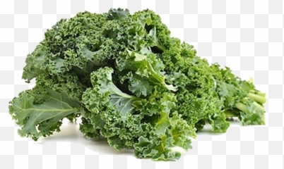 Marketed In Denmark By Bioforce Danmark - Funny Kale Memes Png,Kale Png