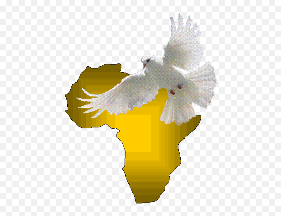 Aia Logo - Africa With Dove No Background 3 Decade Of Doves As Symbols Png,Dove Transparent Background