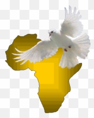 Aia Logo - Africa with Dove No Background 3 Decade of Doves As Symbols png
