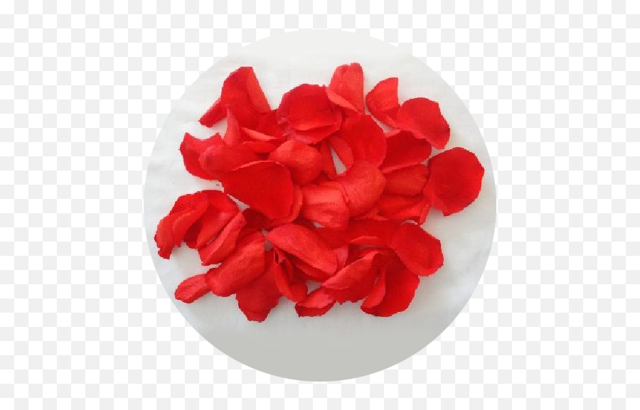 Rose Petals - Asmini Flowers Artificial Flower Png,Rose Petals Png