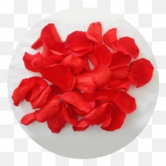 Rose Petals - Asmini Flowers Artificial png