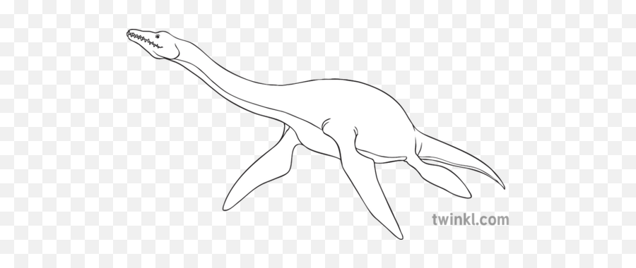 Plesiosaur Extinct Dinosaur Loch Ness Monster Nessie General - Line Art Png,Loch Ness Monster Png
