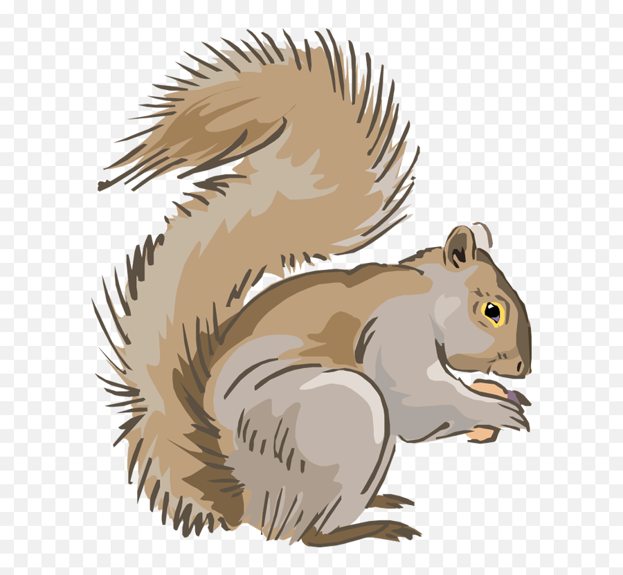 Indian Clipart Squirrel Transparent Free - Squirrel Clip Art Png,Squirrel Transparent