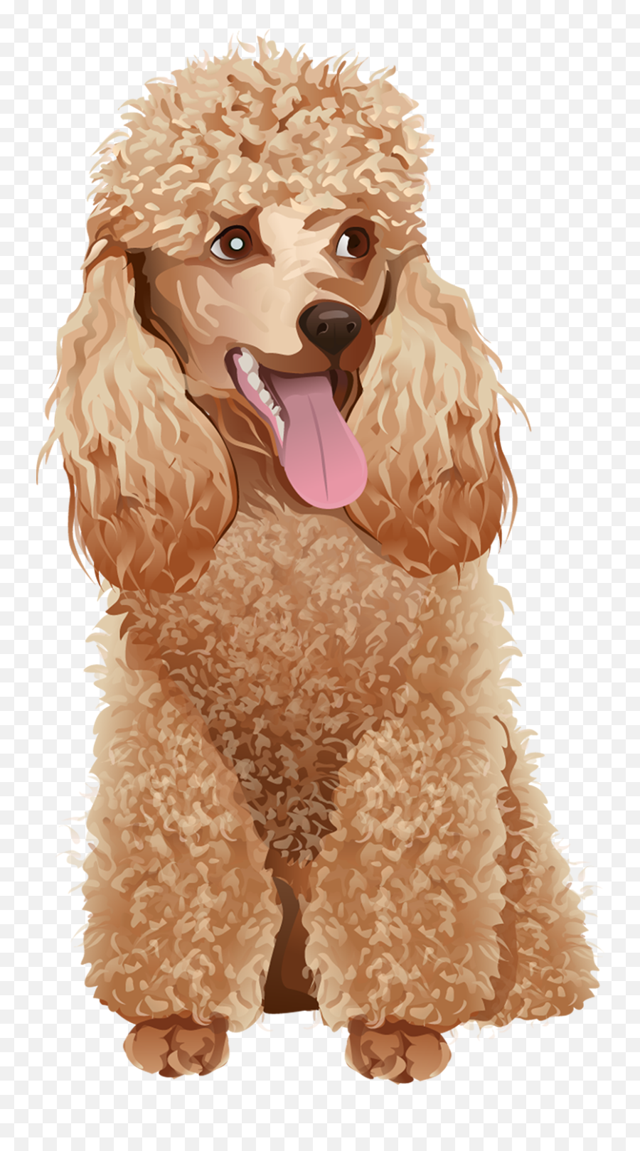 Poodle T - Shirt Vibrant Vector Standard Poodle Png,Poodle Png