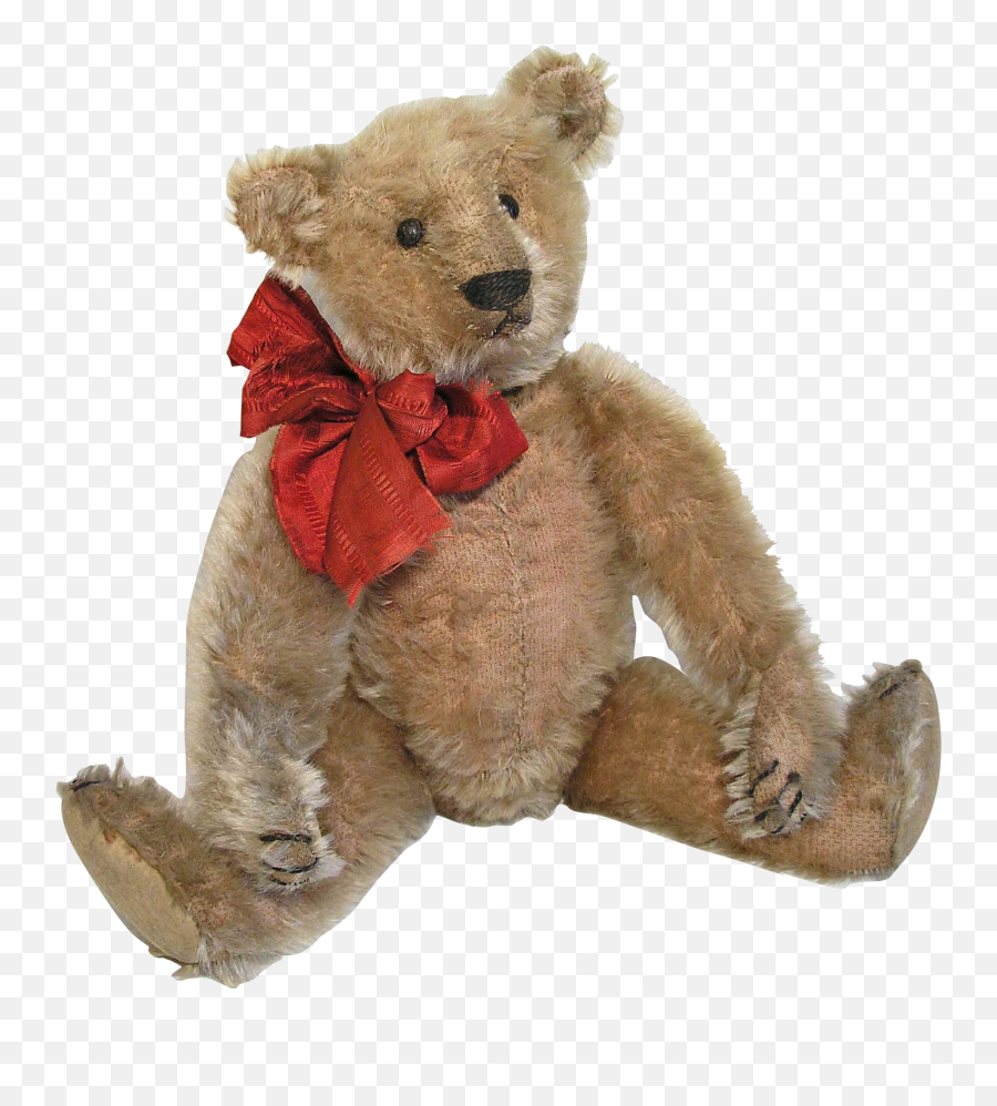 Adorable 13u0027 Antique 1908 - 10 German Steiff Teddy Bear Old Teddy Bear Png,Teddy Bears Png
