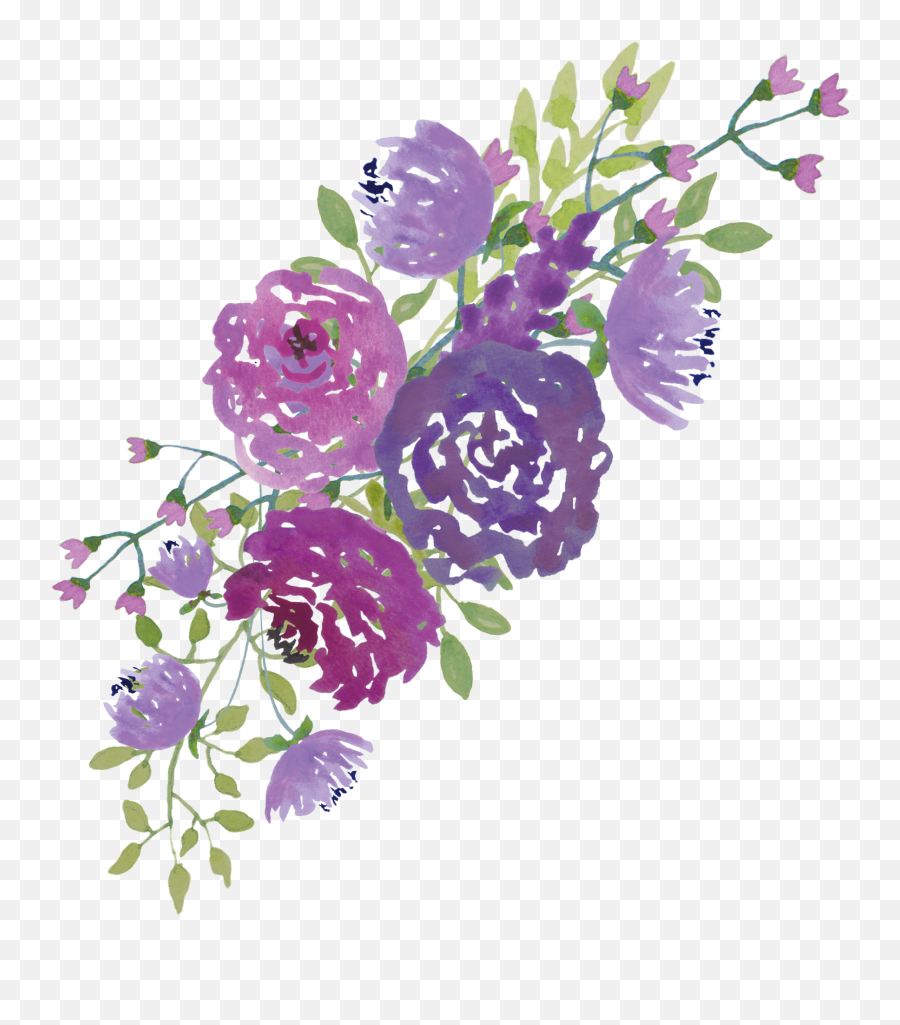 Hydrangea Vector Freeuse Download Png - Purple Watercolor Flowers Png,Hydrangea Png