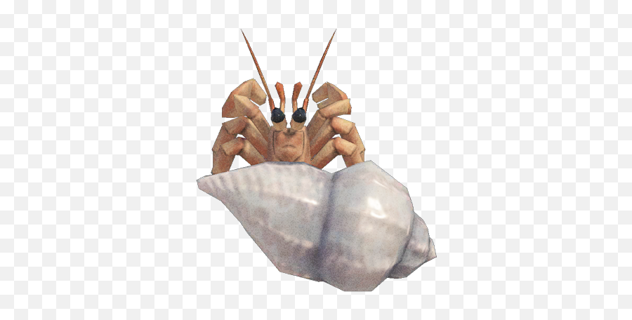 Hermit Crab - Nookipedia The Animal Crossing Wiki Animal Crossing New Horizons Hermit Crab Png,Crab Png