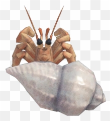 Hermit Crab - Nookipedia The Animal Crossing Wiki Animal Crossing New Horizons Hermit Crab Png,Crab Png