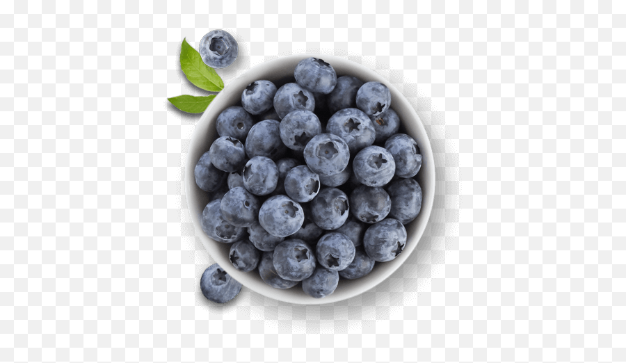 Berries Faqs Driscollu0027s - Blueberry Bowl With Transparent Background Png,Blueberry Png