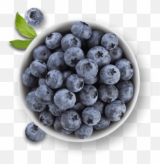 Berries Faqs Driscollu0027s - Blueberry Bowl With Transparent Background Png,Blueberry Png
