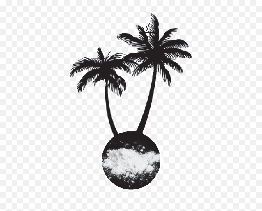 White Powder In The Blue Continent - Transparent Palm Tree Silhouette Png,Cocain Png