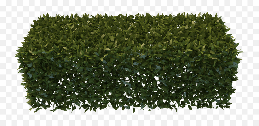 Png Hedges Free Download - Hedge Png Png,Hedge Png