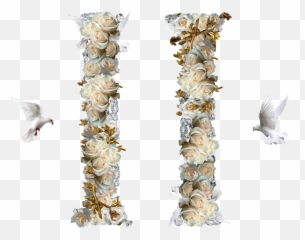 See Migos In Dublin - Bird Supply Png,Migos Png