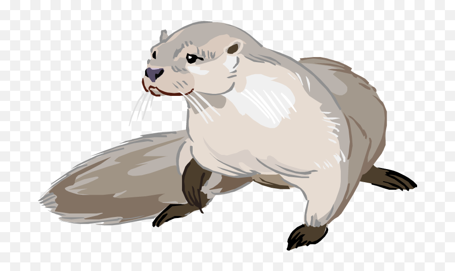 Otter Png Photo - Drawing Cartoon Sea Otter,Otter Png