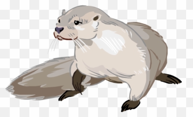 Otter Png Photo - Drawing Cartoon Sea Otter,Otter Png