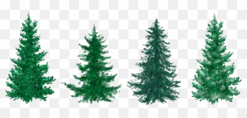 Library Of Christmas Tree Forest Svg Black And White - Christmas Tree Clip Art Png,Forest Tree Png
