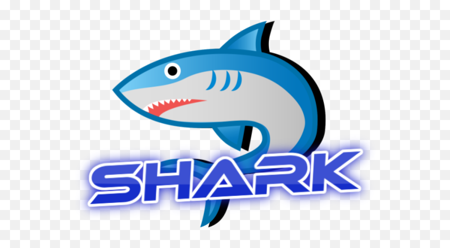 Team Shark - Great White Shark Png,Shark Logo Png