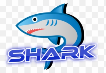 Team Shark - Great White Shark Png,Shark Logo Png