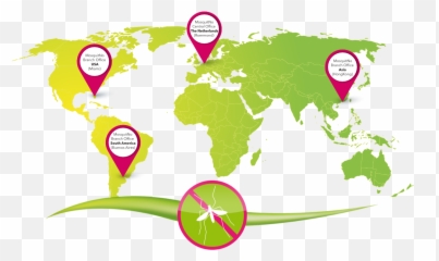 Who Is Mosquitno - World Map png