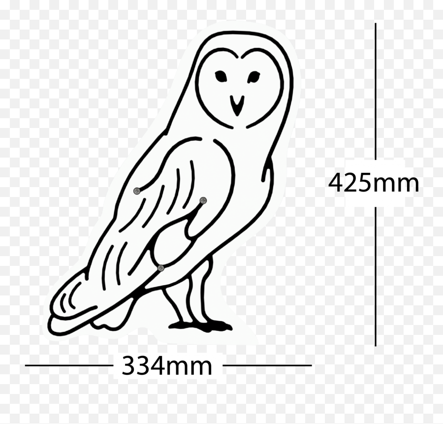 Barn Owl Animal Faces A E Evans - Soft Png,Barn Owl Icon