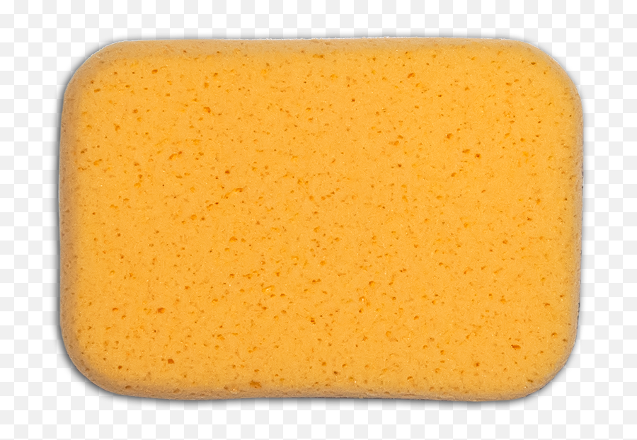 Sponge - Sponge Transparent Png,Sponge Png