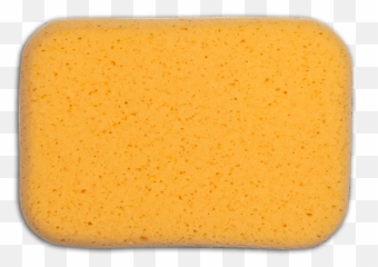Sponge - Sponge Transparent Png,Sponge Png