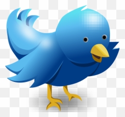 Twitter - icon Tweet Bird Funny Cute Blue Messaging Logo Png 3d