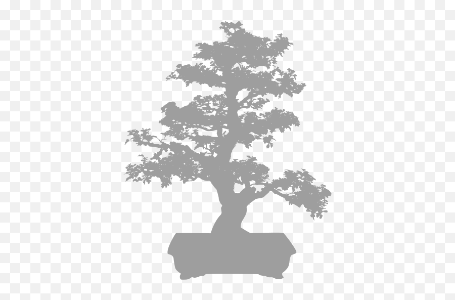 Bonsai Research Png Tree Icon