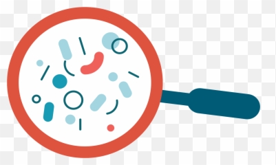 Gastroenterologists Transparent PNG