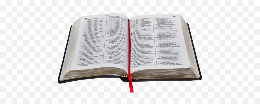 Sociedade Bíblica Unidas - Imagens De Bíblia Png,Biblia Png